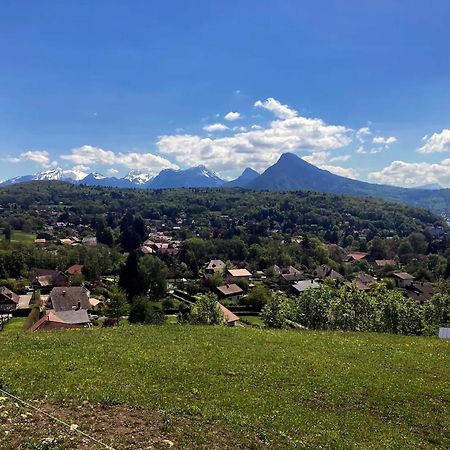 Cabane Pour Vos Vacances A 190M Du Lac D'Annecy Menthon-Saint-Bernard Bagian luar foto